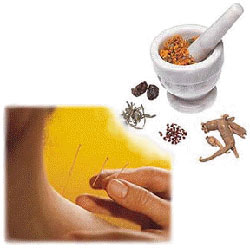 HerbsAcupuncture